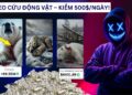 Cách Kiếm 100-500 Đô Mỗi Ngày Nhờ Video AI Không Lộ Mặt: Hướng Dẫn Chi Tiết Từ Ý Tưởng Đến Thành Phẩm